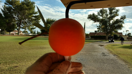 Golf Club «Bellair Golf Club», reviews and photos, 17233 N 45th Ave, Glendale, AZ 85308, USA