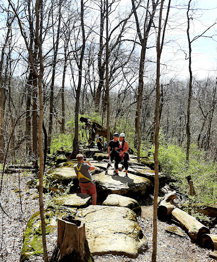 Tourist Attraction «Adventureworks Zipline Forest», reviews and photos, 4129 Whites Creek Pike, Whites Creek, TN 37189, USA