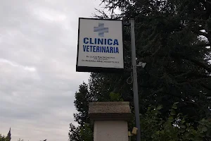 Veterinary Clinic Dr. Magnoni - Dr. Marchesetti image
