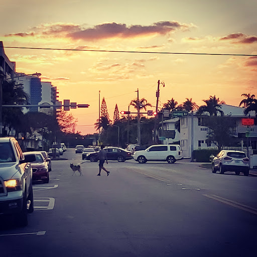 Grocery Store «M & L Food Market», reviews and photos, 7446 Collins Ave, Miami Beach, FL 33141, USA