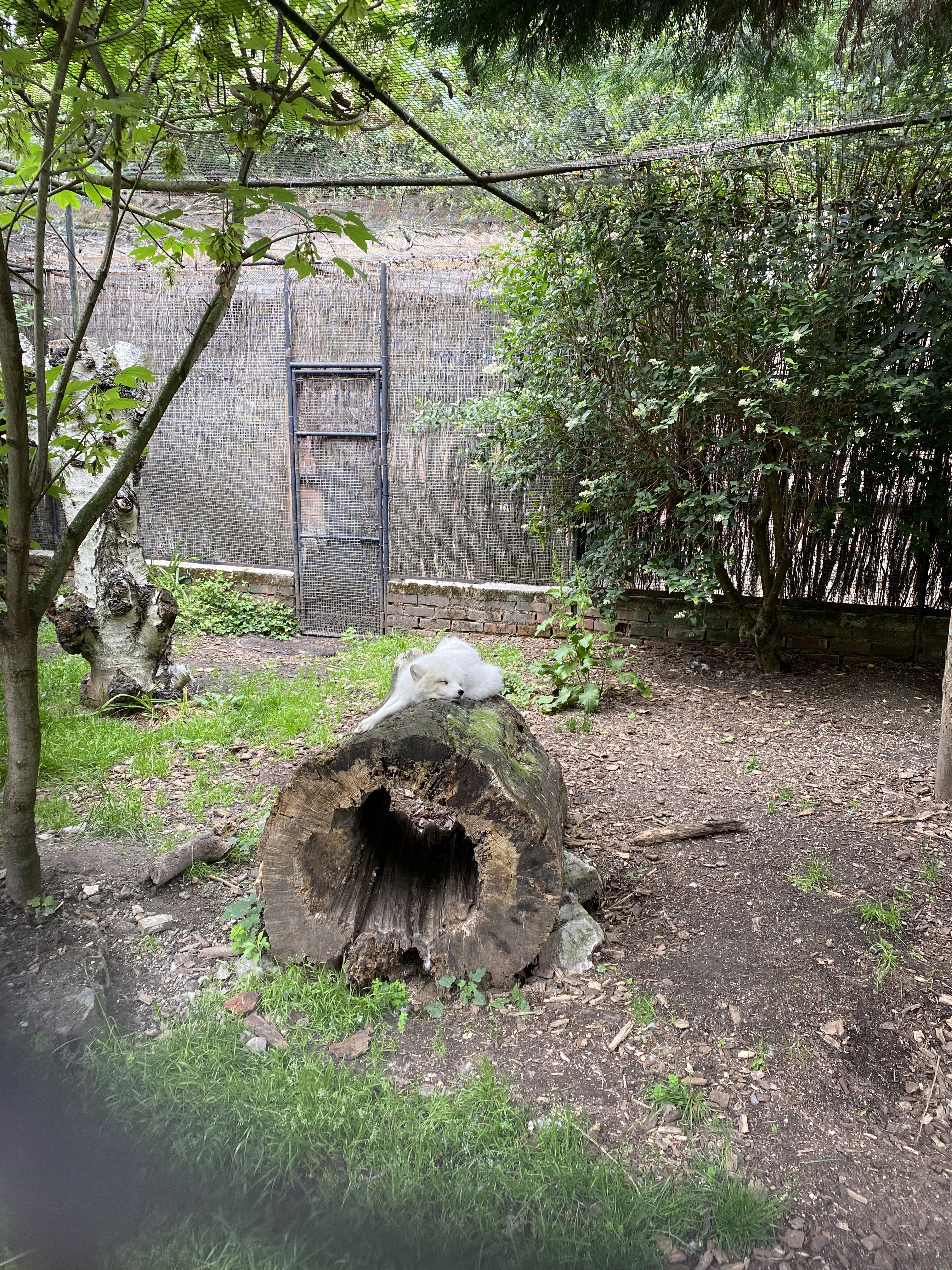 Photo n° 4 de l'avis de Oum.. fait le 11/06/2022 à 21:47