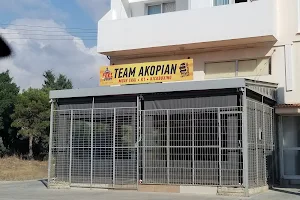 Team Akopian image