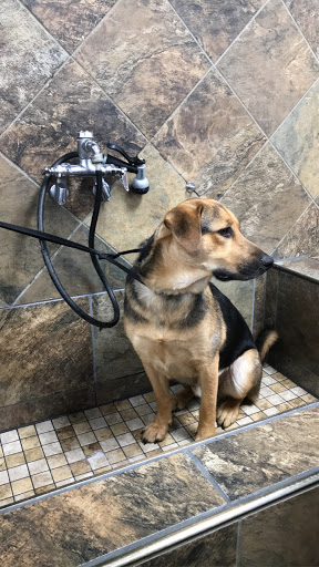 Pet Supply Store «Pet Valu», reviews and photos, 1601 Willow Lawn Dr #301C, Richmond, VA 23230, USA