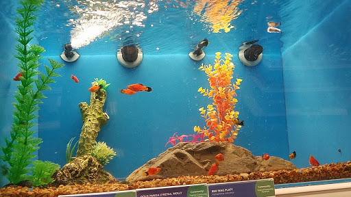 Pet Supply Store «PetSmart», reviews and photos, 4794 Jimmy Lee Smith Pkwy #108, Hiram, GA 30141, USA