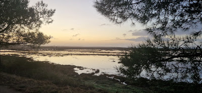 Belle henriette à La Tranche-sur-Mer