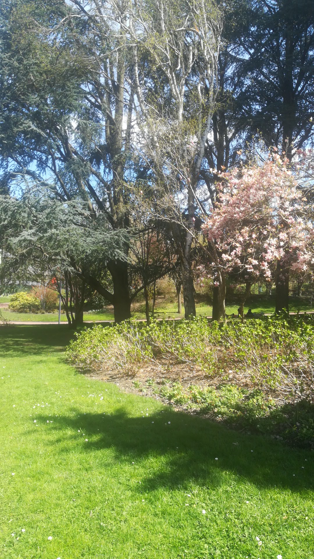 Photo n° 1 de l'avis de florence. fait le 17/04/2019 à 11:10