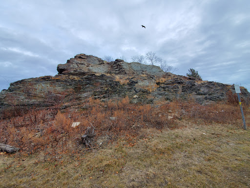 Park «Savin Rock Park», reviews and photos, 435 Captain Thomas Blvd, West Haven, CT 06516, USA