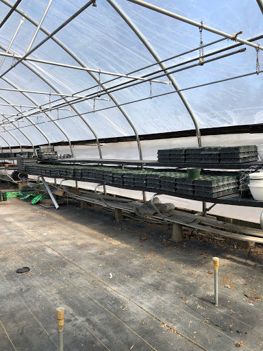 Florist «Star Florist & Greenhouses», reviews and photos, 518 Scheel St, Belleville, IL 62220, USA