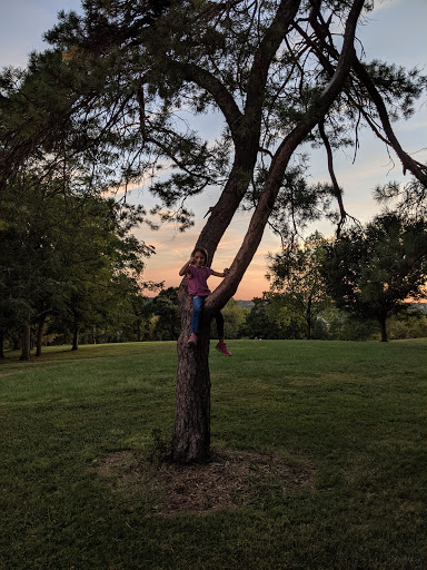 Park «Mount Storm Park», reviews and photos, 700 Lafayette Ave, Cincinnati, OH 45223, USA