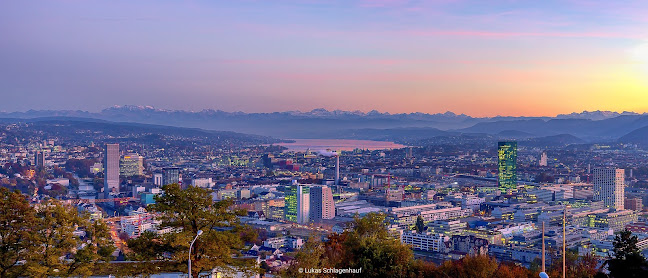 Rezensionen über siegrist partner - Immobilienberatung in der Schweiz in Zürich - Immobilienmakler