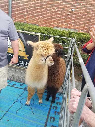 Produce Market «Douglass Loop Farmers Market», reviews and photos, 2005 Douglass Blvd, Louisville, KY 40205, USA
