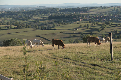 Table d'orientation de Briant à Briant