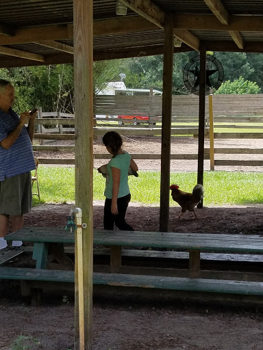 Animal Rescue Service «Nanny’s Educational Zoo And Rescue», reviews and photos, 1139 Livingston Rd, Lutz, FL 33559, USA