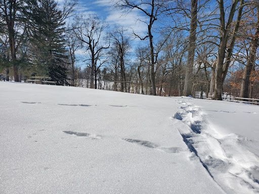 Recreation Center «Go Ape Zip Line & Treetop Adventure - Creve Coeur Park», reviews and photos, 13219 Streetcar Dr, Maryland Heights, MO 63043, USA