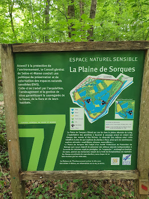 Plaine de Sorques à Montigny-sur-Loing