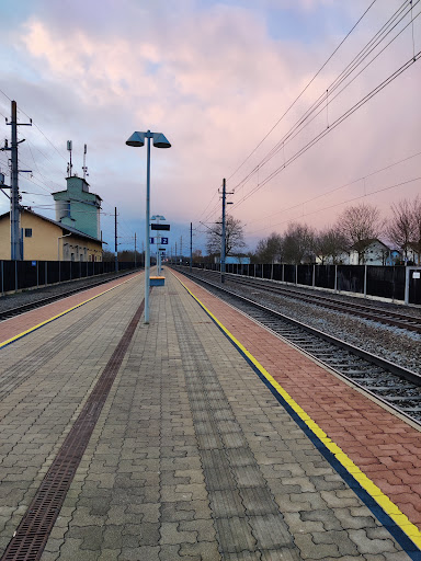 194x228