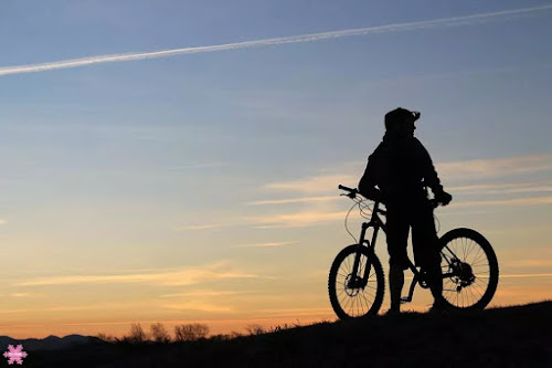 Pyrénées Plaisir FMV Formation Mecanique Vélo à Issor