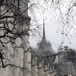 Photo n° 3 de l'avis de Michel.. fait le 08/03/2024 à 00:57 pour Cathédrale Notre-Dame de Paris à Paris
