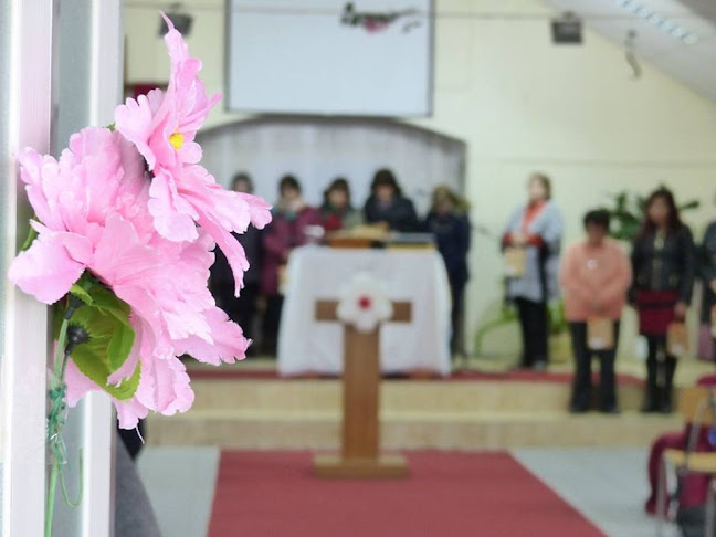 Opiniones de Iglesia Presbiteriana Buenas Nuevas en Maipú - Iglesia