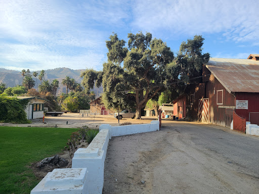 Museum «Rancho Camulos Museum», reviews and photos, 5164 E Telegraph Rd, Fillmore, CA 93015, USA