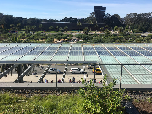 Science Museum «California Academy of Sciences», reviews and photos, 55 Music Concourse Dr, San Francisco, CA 94118, USA