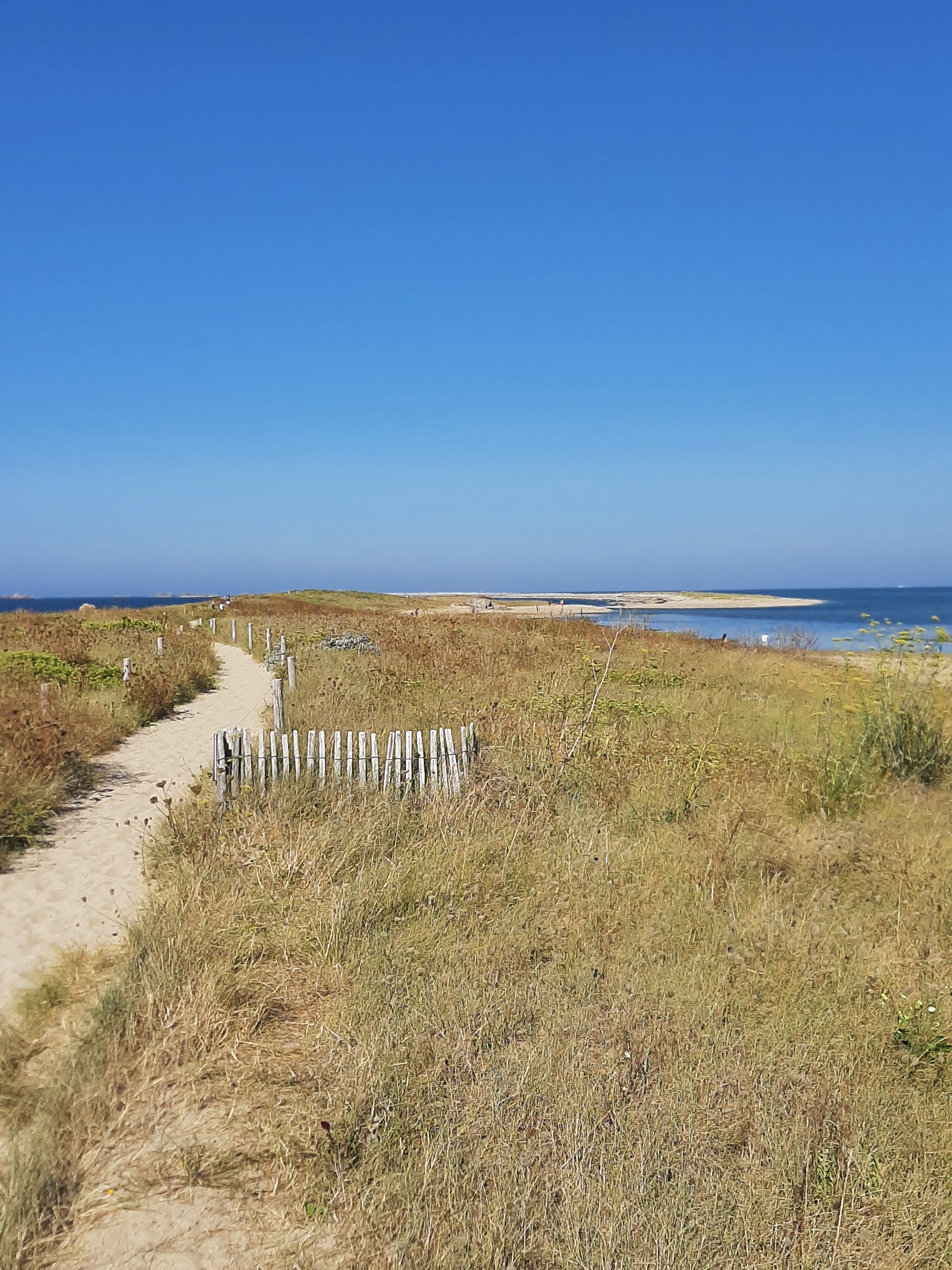 Photo n° 6 de l'avis de JM. fait le 10/08/2022 à 17:31