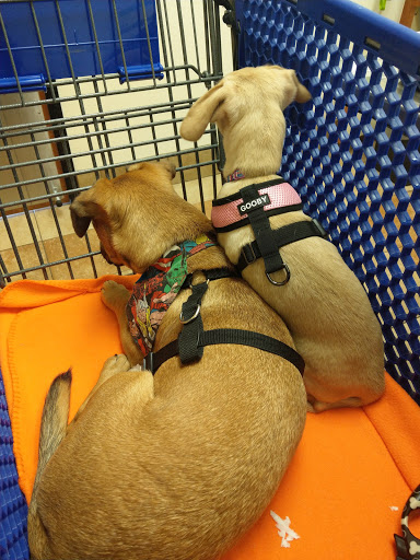 Pet Supply Store «PetSmart», reviews and photos, 2130 Gunbarrel Rd, Chattanooga, TN 37421, USA