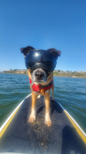 14775 Jeffrey Rd # F, Irvine, CA 92618, USA