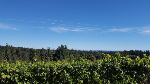 Winery «Hawks View Cellars», reviews and photos, 20210 SW Conzelmann Rd, Sherwood, OR 97140, USA