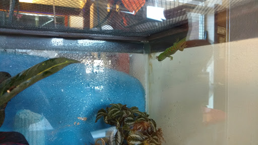 Pet Store «Animal Ark», reviews and photos, 175 S 500 E St, American Fork, UT 84003, USA