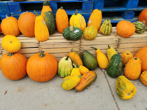 Grocery Store «Jewel-Osco», reviews and photos, 747 Indian Boundary Rd, Chesterton, IN 46304, USA