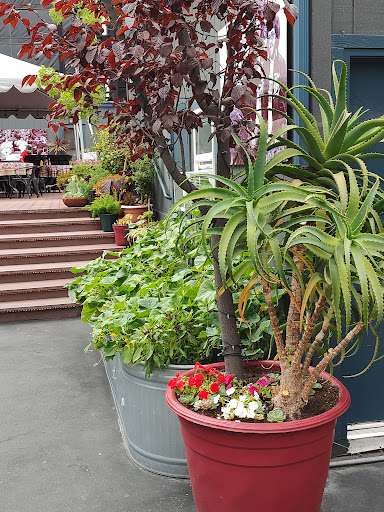 Event Venue «Shoreline Amphitheatre», reviews and photos, 1 Amphitheatre Pkwy, Mountain View, CA 94043, USA