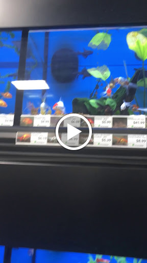 Pet Supply Store «Pet Supermarket, Inc.», reviews and photos, 1052 Peachtree Industrial Blvd, Suwanee, GA 30024, USA