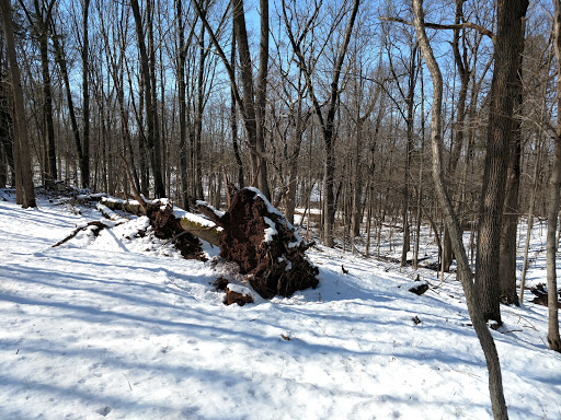 Public Golf Course «Bunker Hill Golf Course», reviews and photos, 220 Bunker Hill Rd, Princeton, NJ 08540, USA