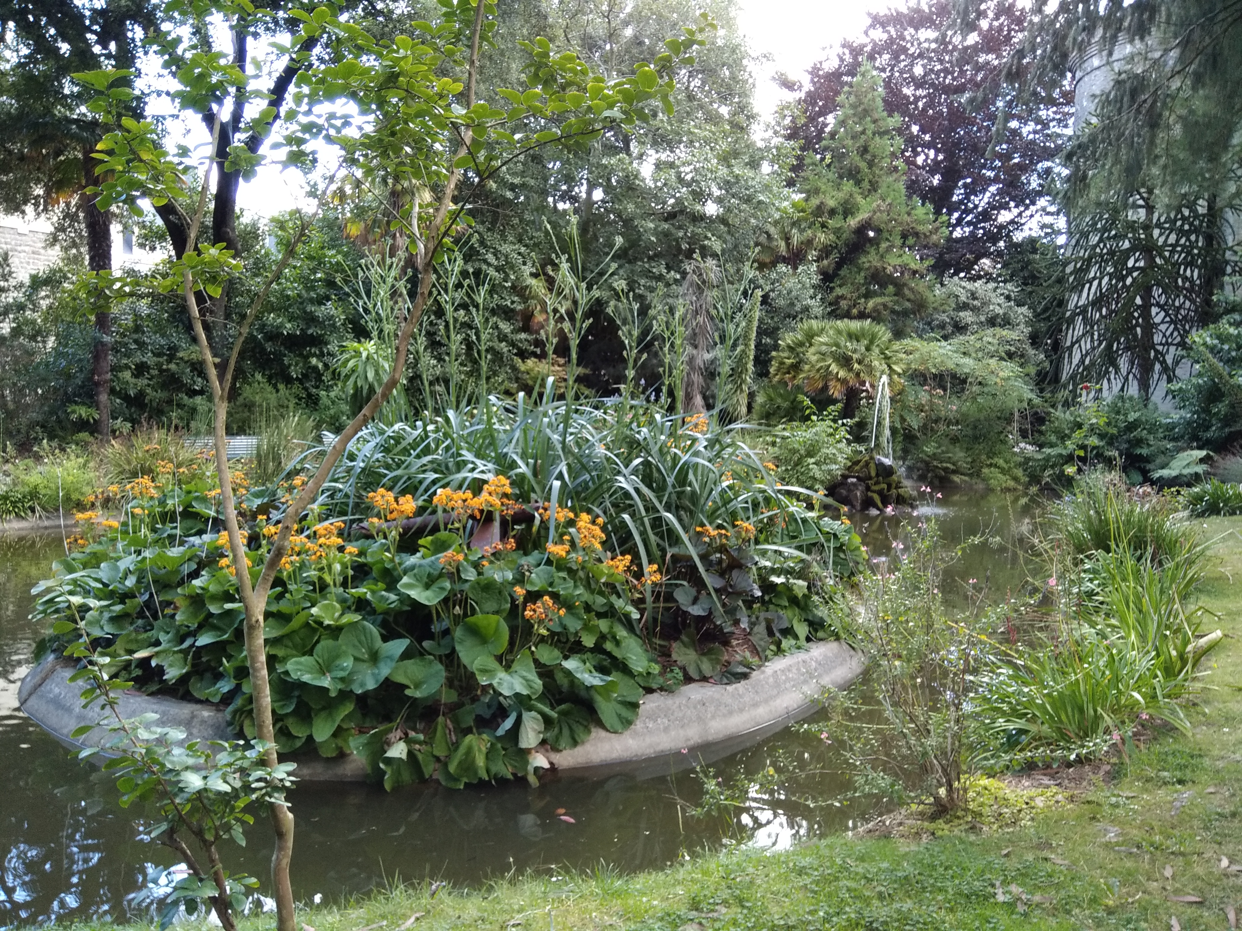 Photo n° 14 de l'avis de Carole.e fait le 17/08/2020 à 19:35