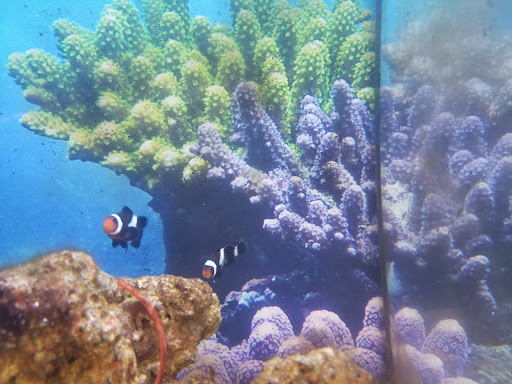 Pet Supply Store «PetSmart», reviews and photos, 4180 US-1, Monmouth Junction, NJ 08852, USA