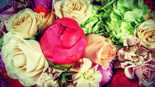 Florist «The Frugal Flower», reviews and photos, 736 Boston Post Rd, Sudbury, MA 01776, USA