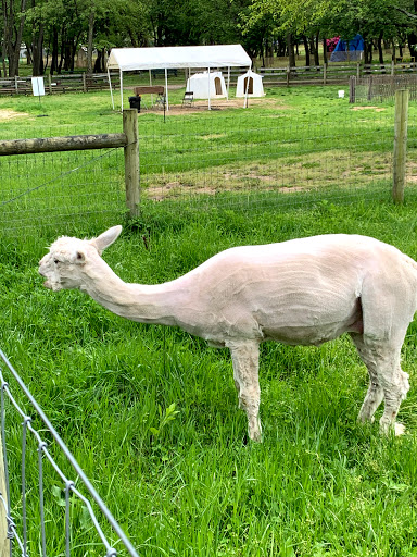 Museum «Queens County Farm Museum», reviews and photos, 73-50 Little Neck Pkwy, Queens, NY 11004, USA