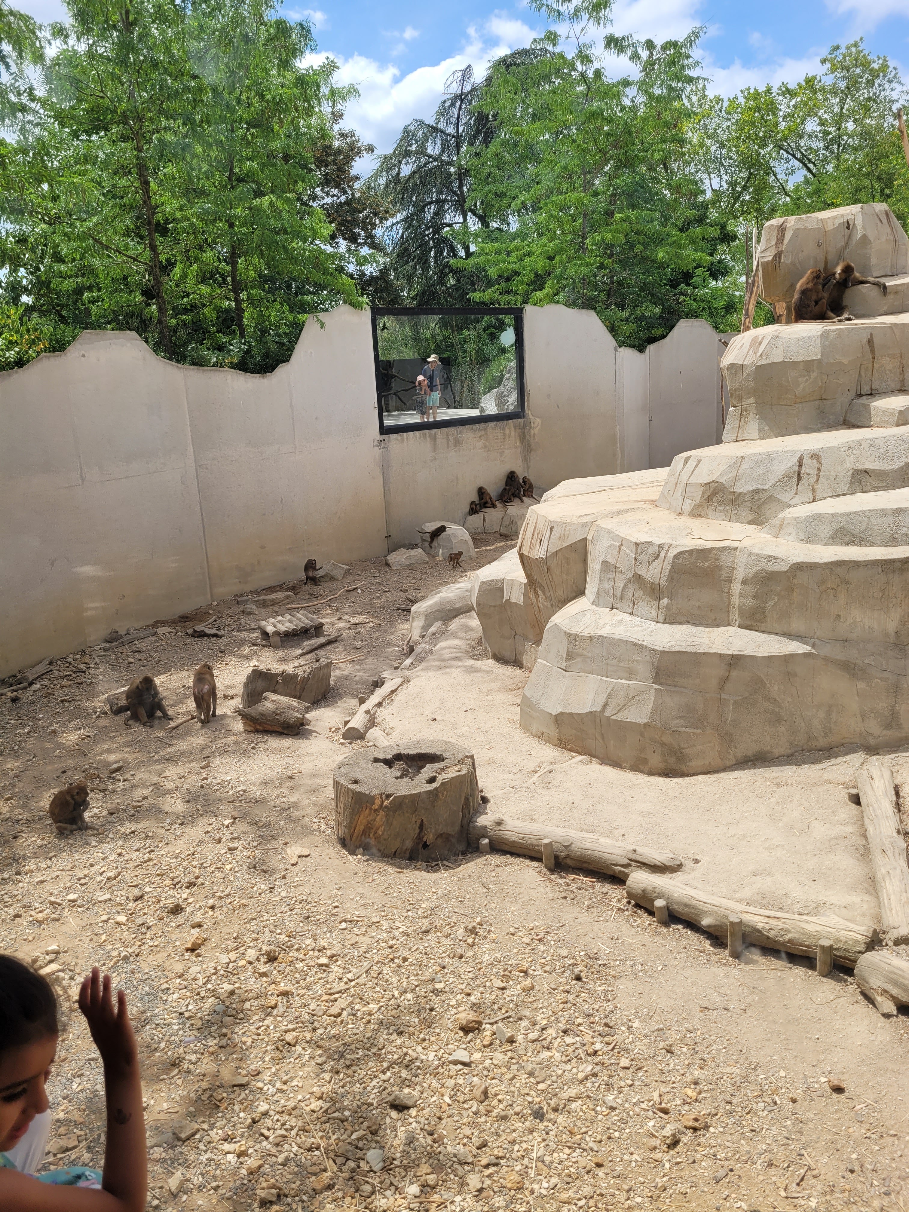 Photo n° 4 de l'avis de Muntaha. fait le 15/08/2023 à 13:56