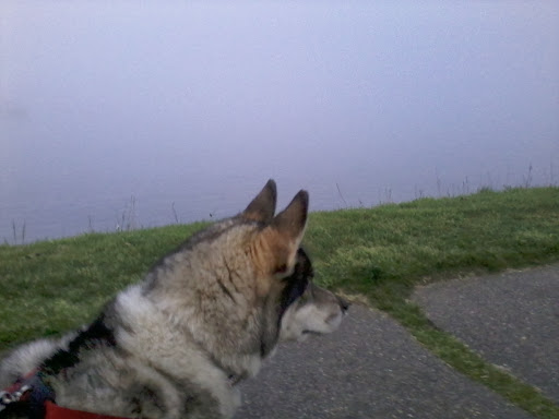 Park «Fort Sewall», reviews and photos, 8 Fort Sewall Ln, Marblehead, MA 01945, USA