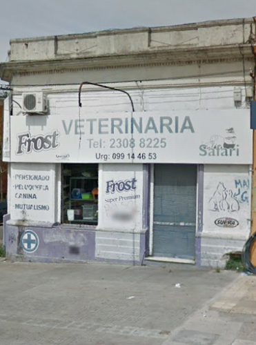 Veterinaria Safari - Montevideo