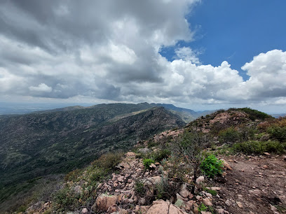 Cerro del Potosí, sierra de San Miguelito