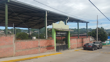 Primaria Andres Quintana Roo