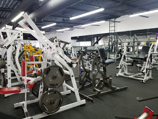 Gym «Motor City Iron Gym», reviews and photos, 8399 E 13 Mile Rd, Warren, MI 48093, USA