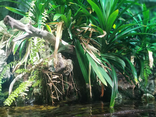 Aquarium «SEA LIFE Charlotte-Concord Aquarium», reviews and photos, 8111 Concord Mills Boulevard, Concord, NC 28027, USA