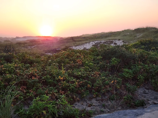 Golf Club «Maidstone Club», reviews and photos, 29 Maidstone Ln, East Hampton, NY 11937, USA