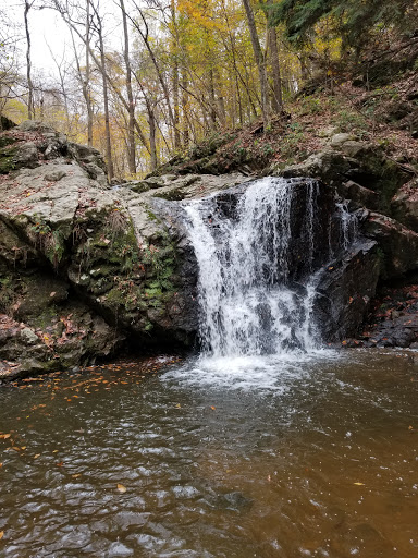 Park «Rockburn Branch Park», reviews and photos, 6105 Rockburn Branch Park Rd, Elkridge, MD 21075, USA