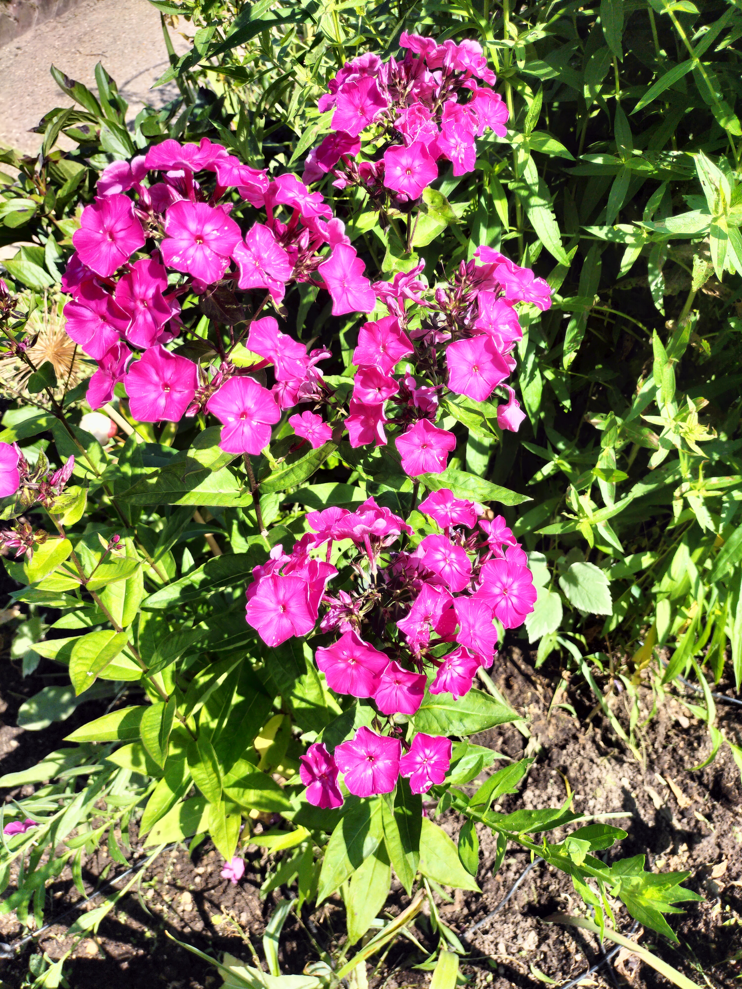 Photo n° 15 de l'avis de didier.e fait le 15/06/2023 à 13:38