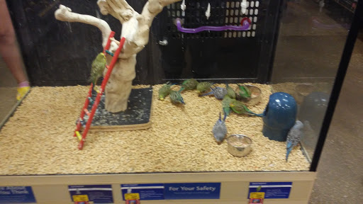 Pet Supply Store «PetSmart», reviews and photos, 9041 Snowden Square Dr, Columbia, MD 21045, USA