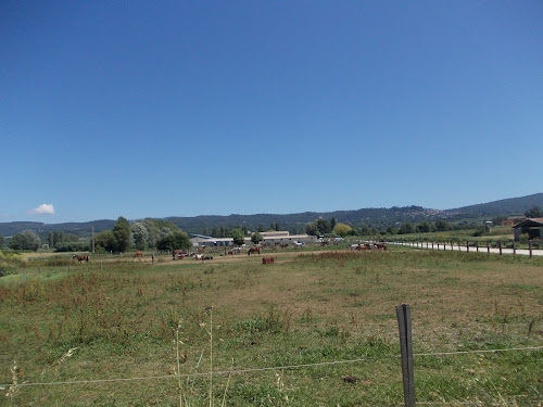 SCEA de Meille à Bonnieux